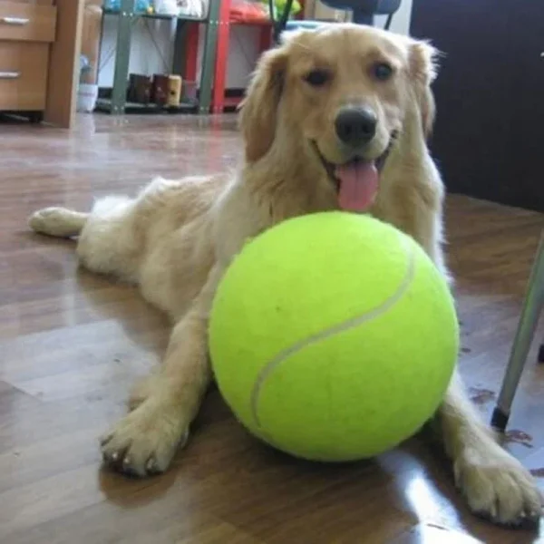 9.5'Giant Tennis Ball For Dog