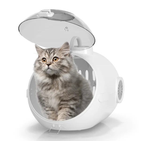 Cat Handbag with Fan