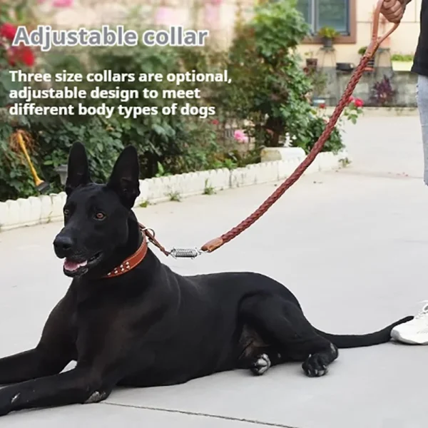 5-Foot Genuine Dog Leash