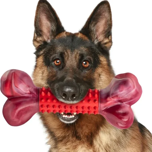 Beef Flavor Tough Dog Bone