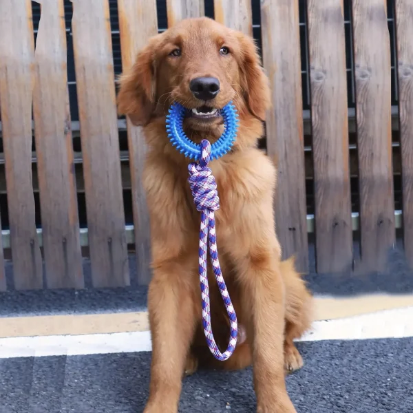 Dog Toys Chew Resistant Nylon Rope