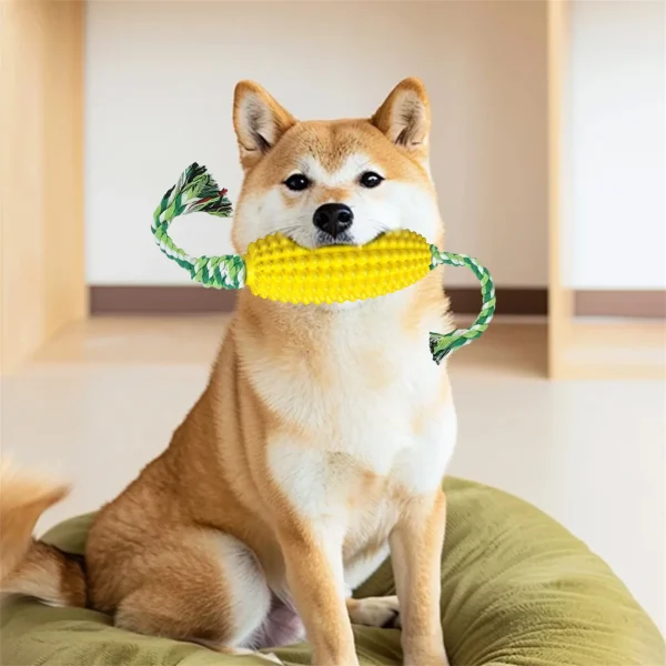 Interactive Dog Toy Set